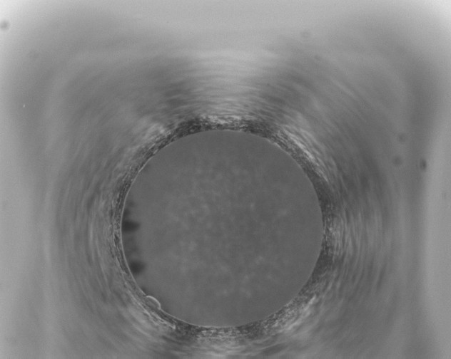 X0000088430817200705291522