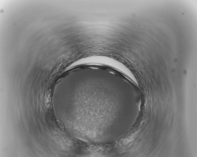 X0000088430818200705291522