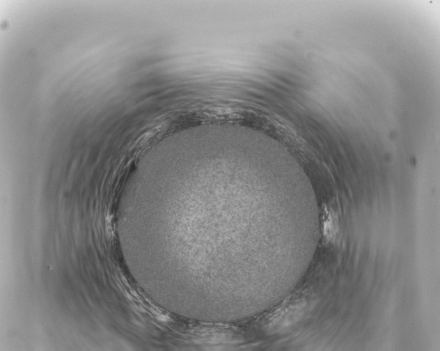 X0000088430819200705291522