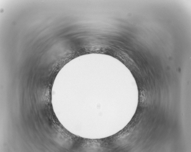 X0000088430820200705291522