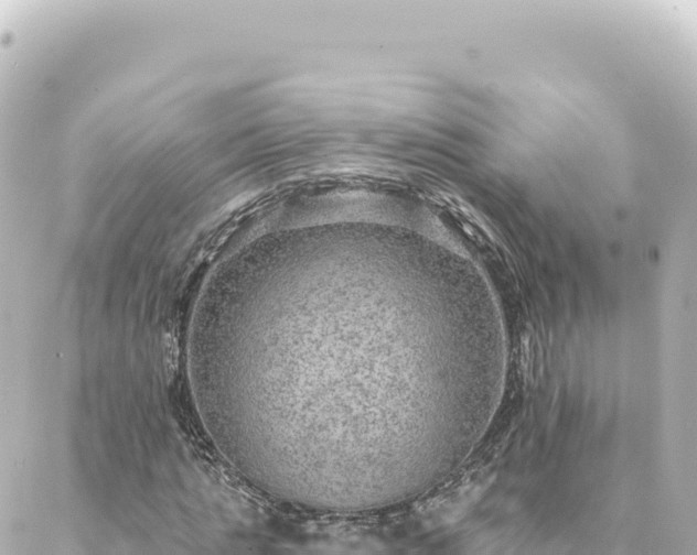 X0000088430821200705291522