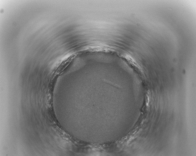 X0000088430822200705291523