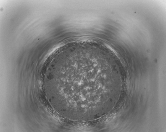 X0000088430823200705291523