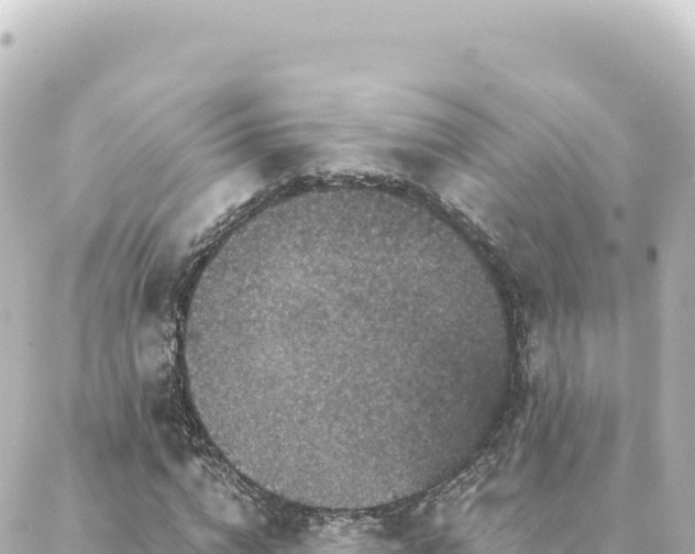 X0000088430824200705291523