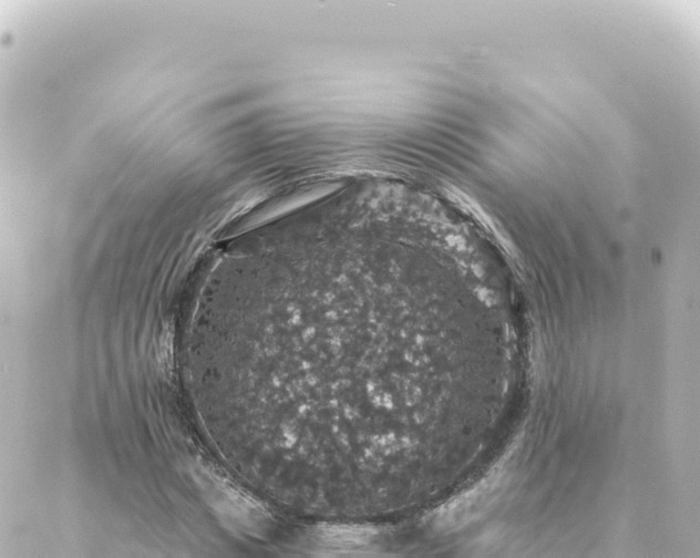 X0000088430825200705291523