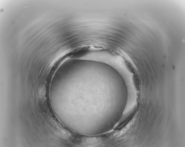 X0000088430826200705291523