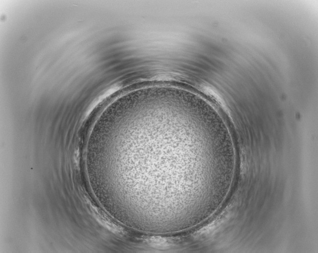 X0000088430827200705291523