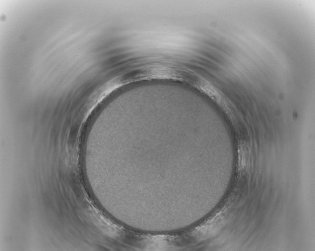 X0000088430828200705291523