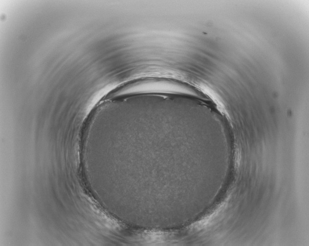 X0000088430829200705291523