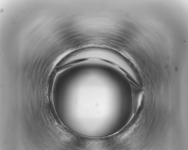 X0000088430830200705291523