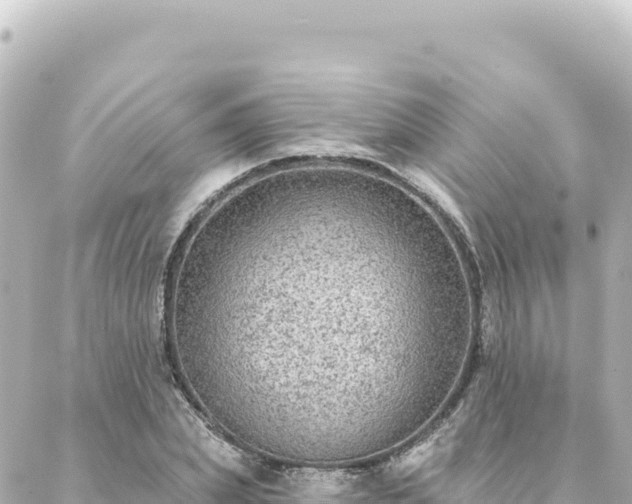 X0000088430831200705291523