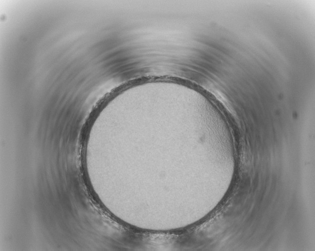 X0000088430832200705291523