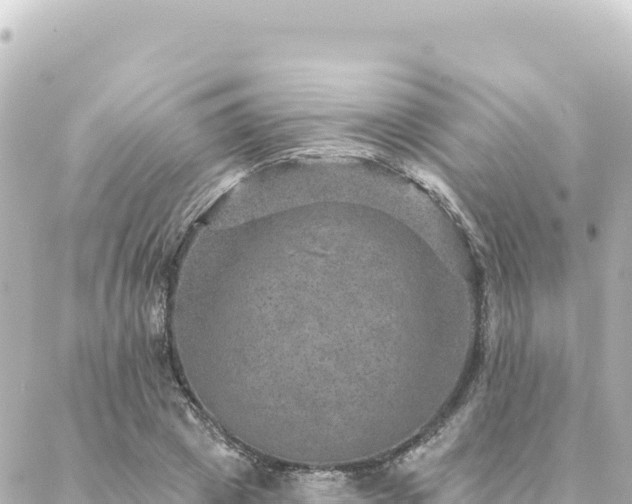 X0000088430833200705291523