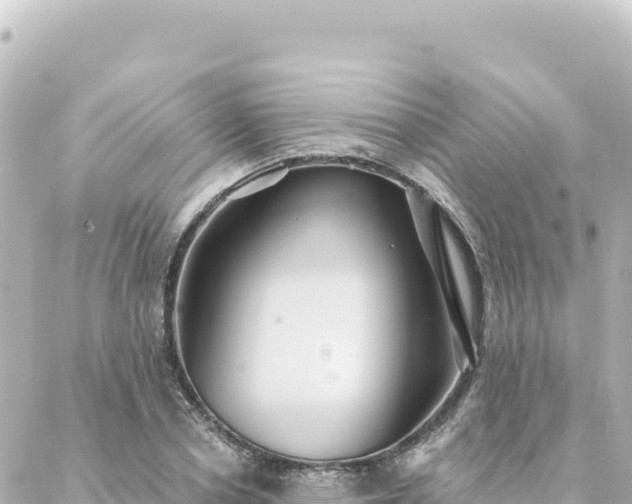 X0000088430834200705291523