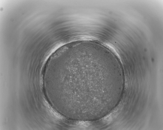 X0000088430835200705291523