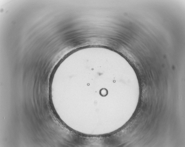 X0000088430836200705291523