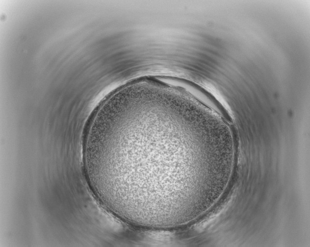 X0000088430837200705291523