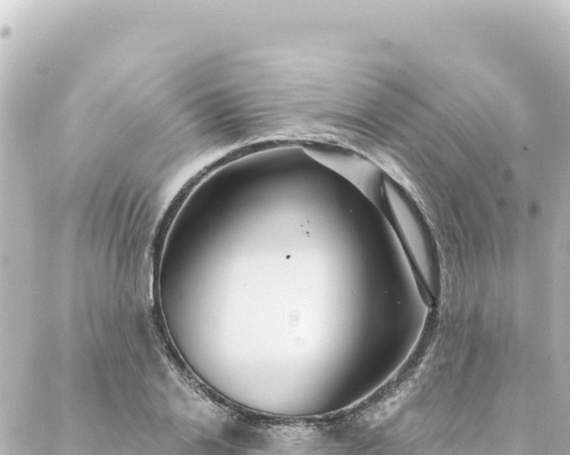 X0000088430838200705291523