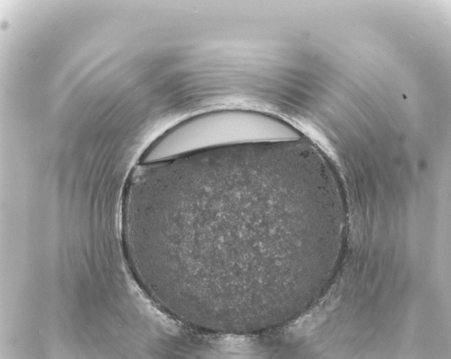 X0000088430839200705291523