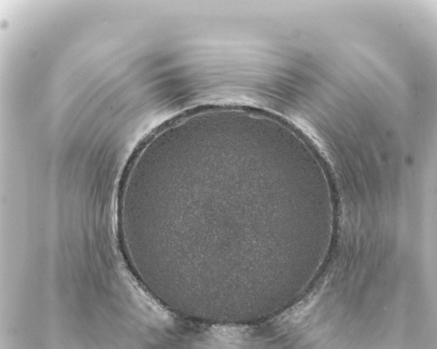 X0000088430840200705291523