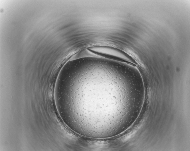 X0000088430841200705291523