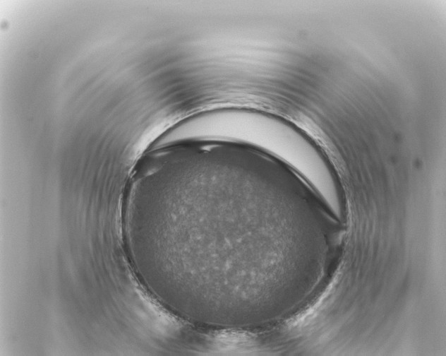 X0000088430842200705291523