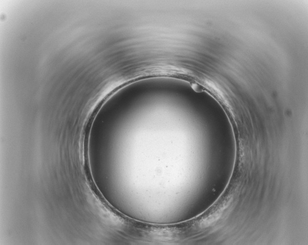 X0000088430843200705291523