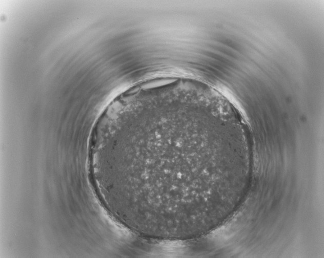 X0000088430845200705291523