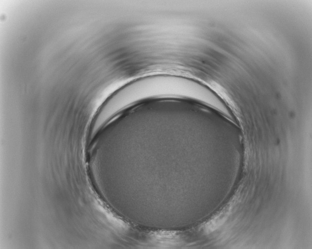 X0000088430846200705291523