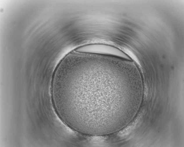 X0000088430847200705291523