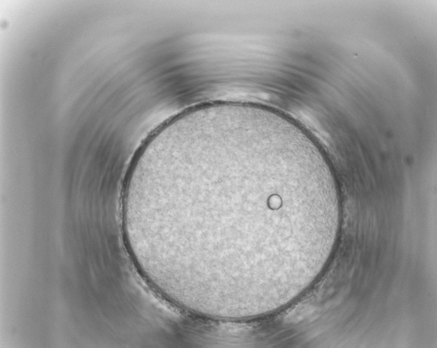 X0000088430848200705291523