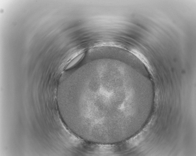 X0000088430849200705291523