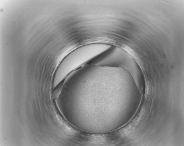 X0000088430850200705291523