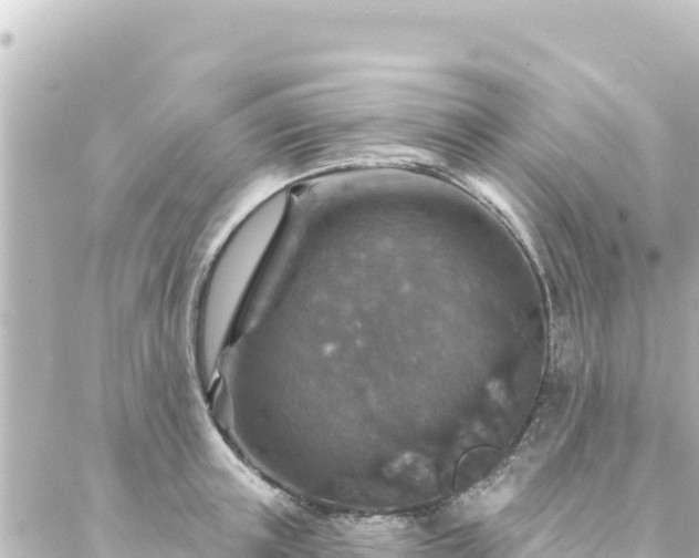 X0000088430851200705291523