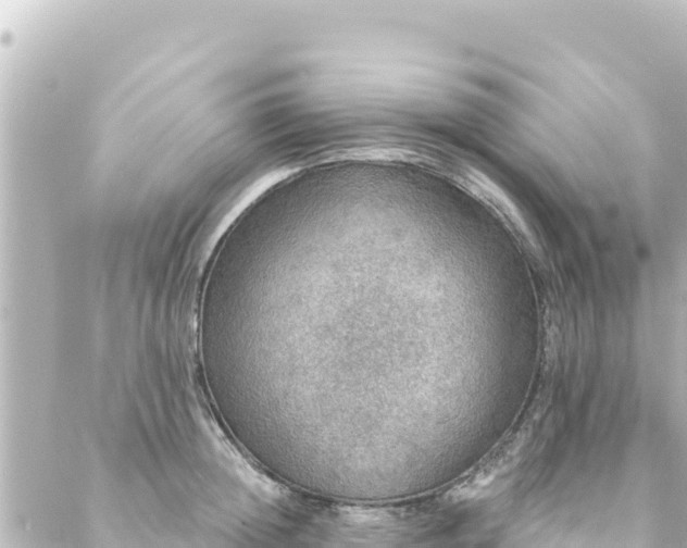 X0000088430852200705291523