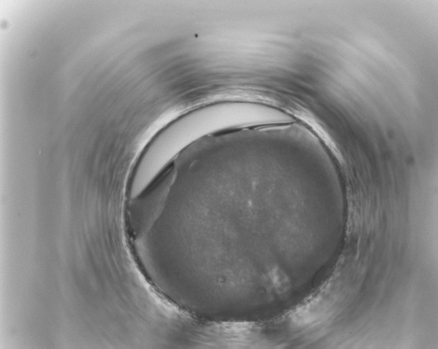 X0000088430853200705291523