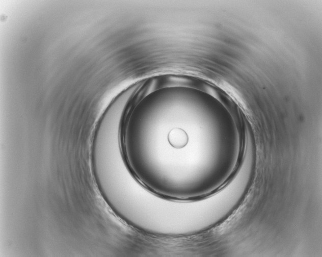 X0000088430854200705291523