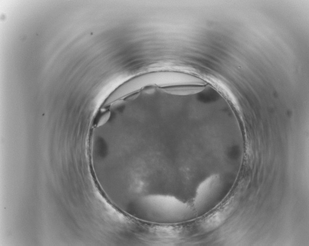 X0000088430855200705291523