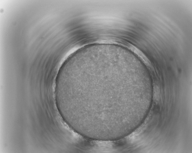 X0000088430856200705291523