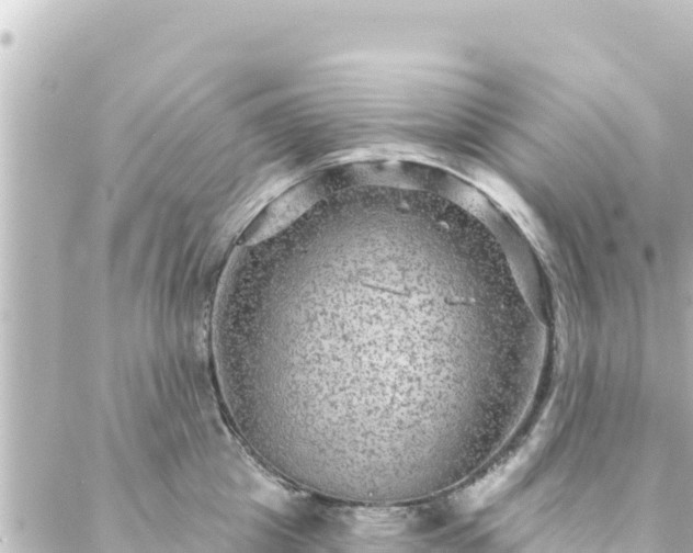 X0000088430857200705291523