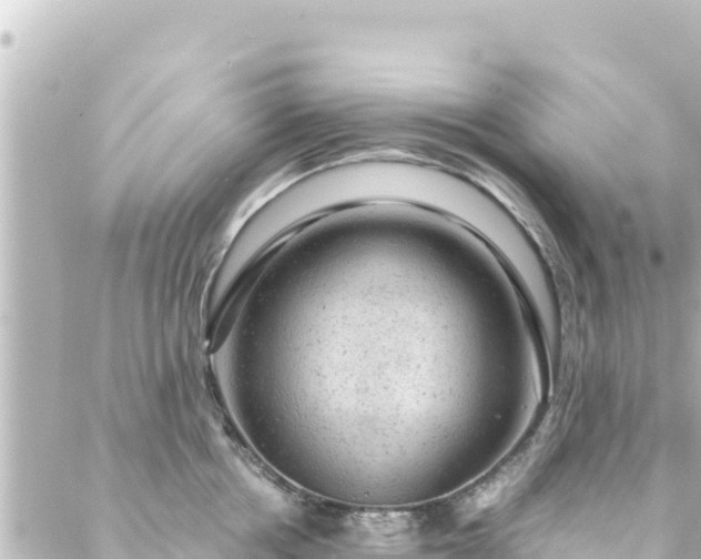 X0000088430858200705291523