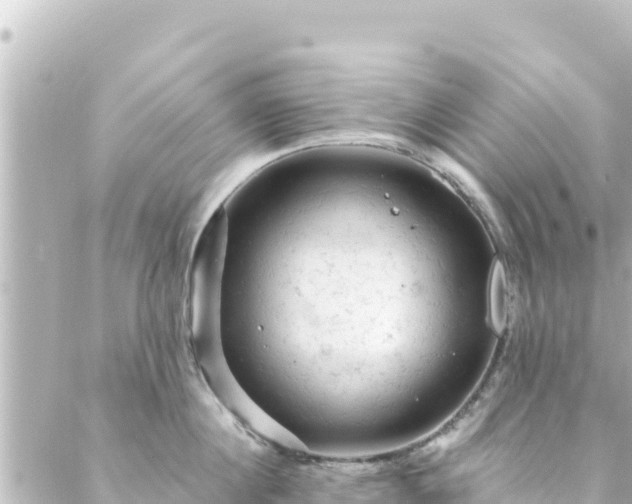 X0000088430860200705291523