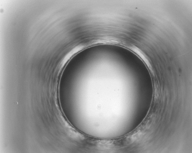 X0000088430861200705291523