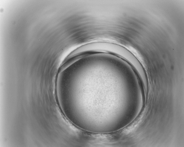 X0000088430862200705291523