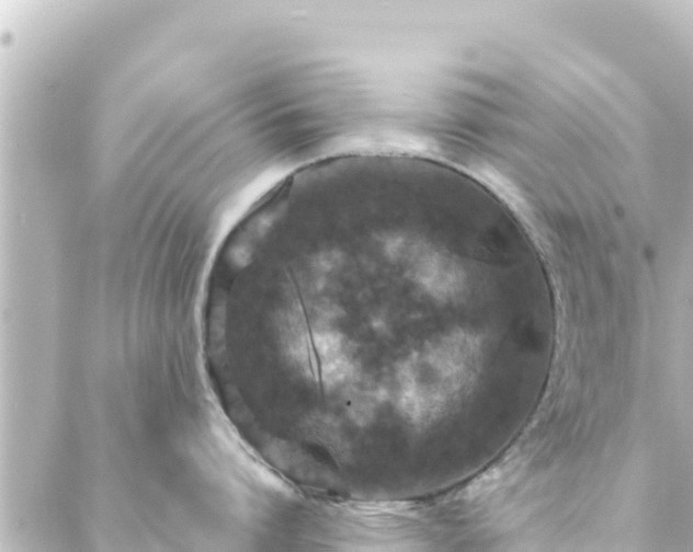 X0000088430864200705291523