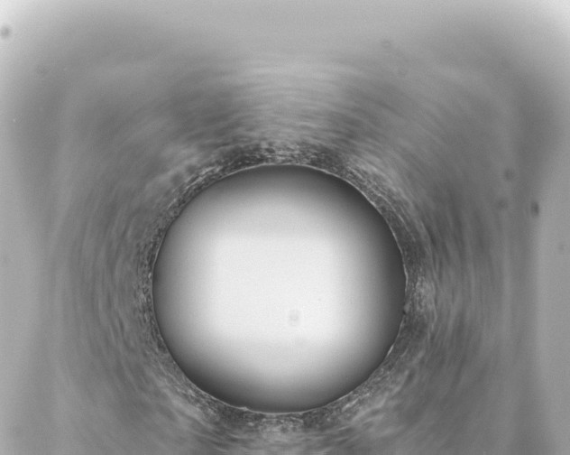 X0000088430865200705291522