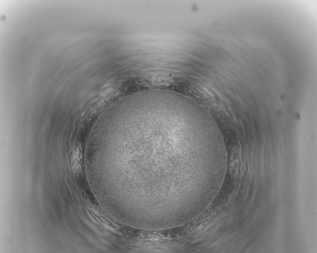 X0000088430866200705291522