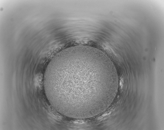 X0000088430867200705291522