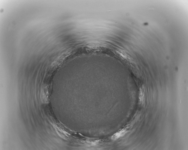 X0000088430868200705291522