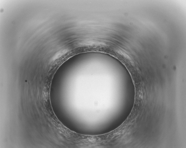 X0000088430869200705291522